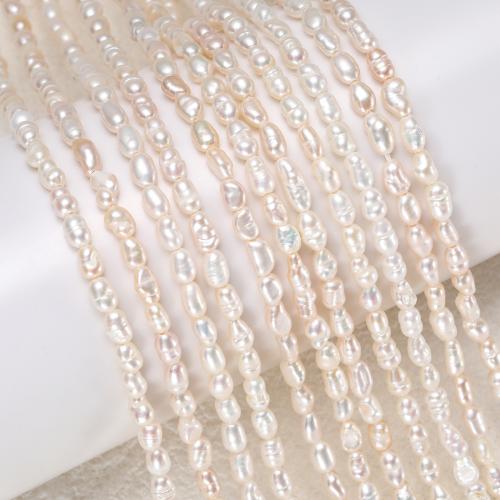 Cultured Rice Freshwater Pearl Beads, DIY, white, about:2.8-3.2mm, Sold By Strand