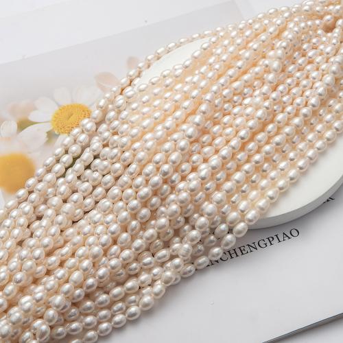 Natural Freshwater Pearl Loose Beads, DIY, Size: 7-8mm, Sold Per 40 cm Strand