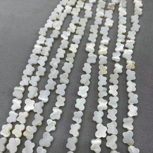 Natural Freshwater Shell Beads, Butterfly, DIY, white, 8x11mm, Approx 37PCs/Strand, Sold By Strand