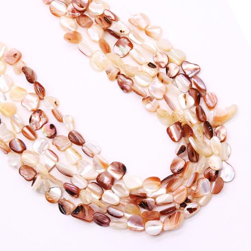 Natural Seashell Beads, irregular, DIY, about:10-15mm, Sold Per Approx 38 cm Strand