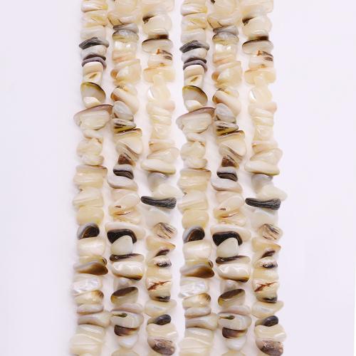 Natural Seashell Beads, irregular, DIY, about:6x11mm, Sold Per Approx 38 cm Strand