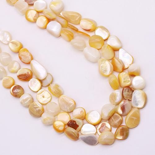 Natural Seashell Beads, irregular, DIY, about:13mm, Sold Per Approx 38 cm Strand