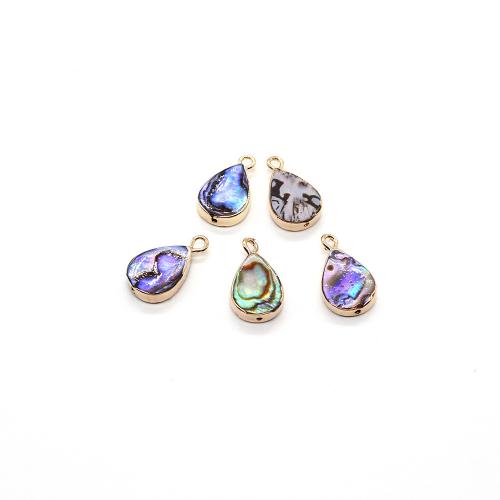 Natural Abalone Shell Pendants, Teardrop, gold color plated, DIY, 10x18mm, Sold By PC