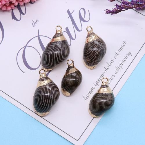 Trompette naturelle Shell pendentifs, coquille de trompette, envoyé au hasard & DIY, Size: 13x22-16x28mm, Vendu par PC