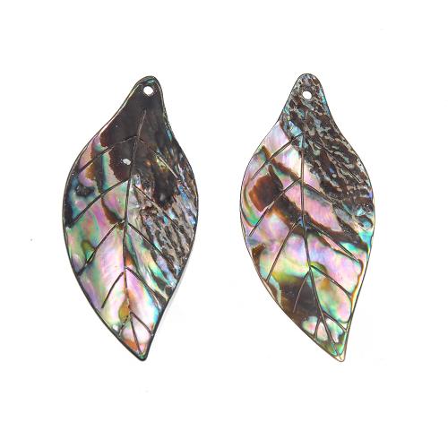 Natural Abalone Shell Pendants, Leaf, Carved, DIY, multi-colored, 48x22mm, Sold By PC