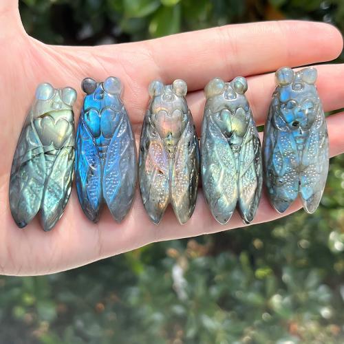 Fashion Decoration, Labradorite, Cicada, fashion jewelry, blue, Sold By PC