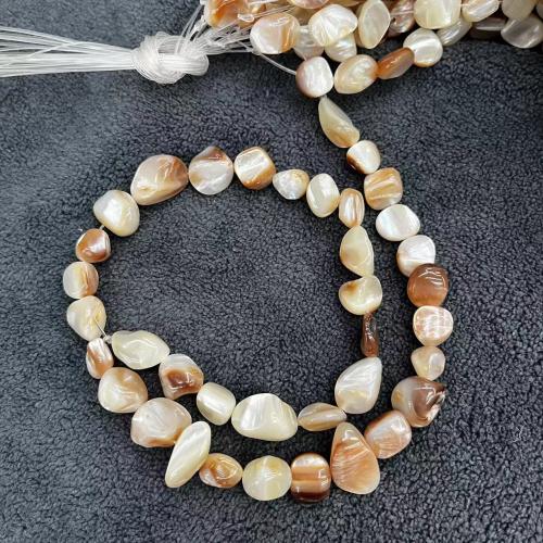 Natural Seashell Beads, irregular, DIY,  about:8-9mm, Approx 37PCs/Strand, Sold By Strand