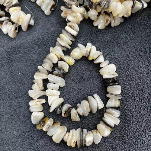 Natural Seashell Beads, irregular, DIY, mixed colors, about:12-16mm, Approx 68PCs/Strand, Sold By Strand