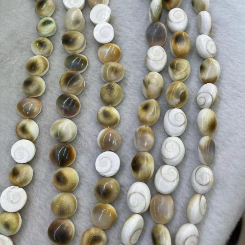 Natural Freshwater Shell Beads, Dome, DIY, 15mm, Approx 26PCs/Strand, Sold By Strand