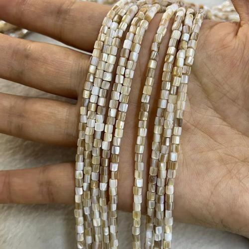 Natural Seashell Beads, DIY, 3x3mm, Approx 125PCs/Strand, Sold By Strand