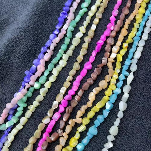 Natural Colored Shell Beads, Trochus, DIY, more colors for choice, about:5-6mm, Approx 62PCs/Strand, Sold By Strand