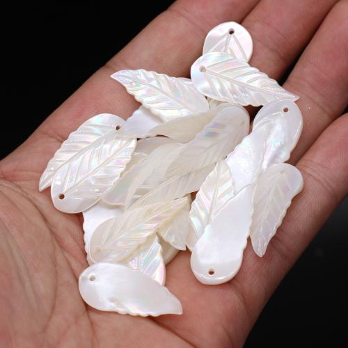 Natural Seashell Beads, Shell, Leaf, DIY, white, 14x25mm, Sold By PC