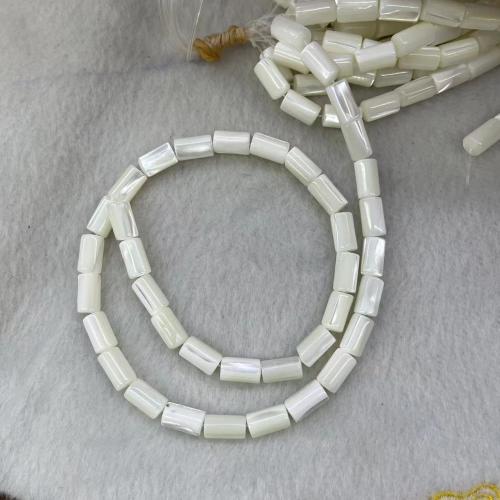 Natural Seashell Beads, Trochus, Column, DIY, white, 6x10mm, Approx 38PCs/Strand, Sold By Strand