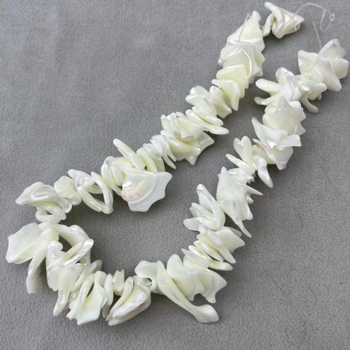 Natural Seashell Beads, Trochus, irregular, DIY, white, about:16-22mm, Approx 98PCs/Strand, Sold By Strand