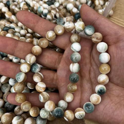 Natural Freshwater Shell Beads, Round, DIY & different size for choice, Sold By Strand