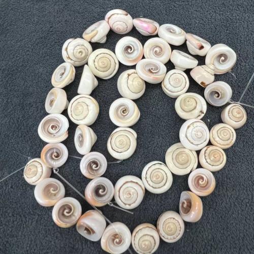 Natural Seashell Beads, Red Mouth Screw, Conch, DIY, about:14-20mm, Approx 20PCs/Bag, Sold By Bag