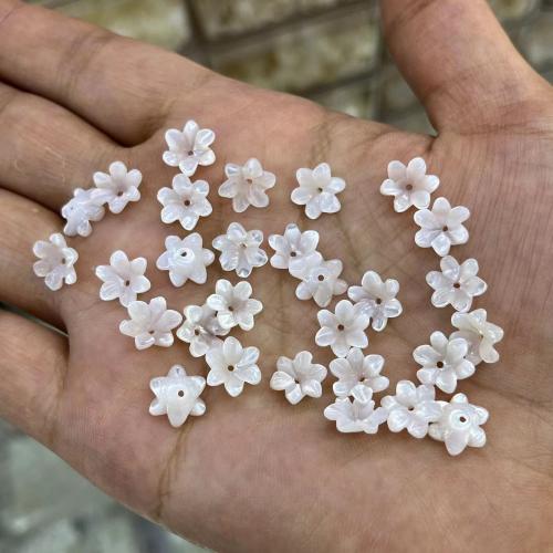 Natural Seashell Beads, Trochus, with White Lip Shell, Flower, DIY & different size for choice, more colors for choice, Sold By PC