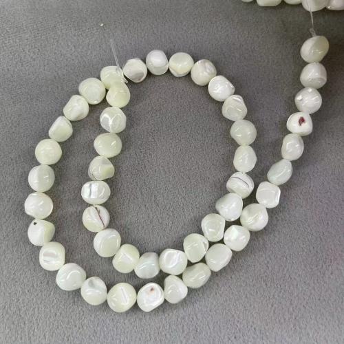 Natural Seashell Beads, Trochus, DIY, white, 8mm, Approx 47PCs/Strand, Sold By Strand