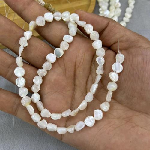 White Lip Shell Beads, DIY & different size for choice, white, Sold By Strand