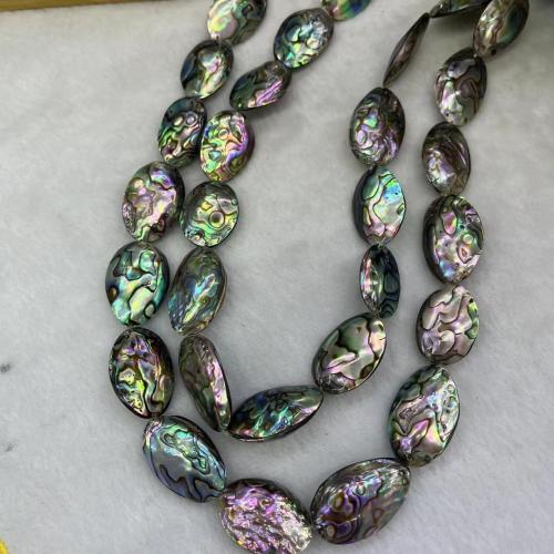 Abalone Shell Beads, Oval, DIY & different size for choice, Sold By Strand