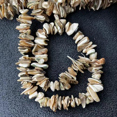 Natural Seashell Beads, irregular, DIY, about:10-15mm, Approx 102PCs/Strand, Sold By Strand