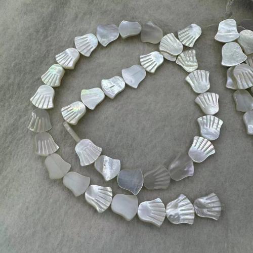 White Lip Shell Beads, Hand, Carved, DIY, white, 11.50x12mm, Approx 10PCs/Strand, Sold By Strand