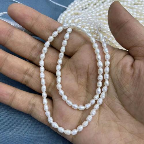 Cultured Rice Freshwater Pearl Beads, different quantity for choice & DIY, white, about:3-4mm, Approx 71PCs/Strand, Sold By Strand