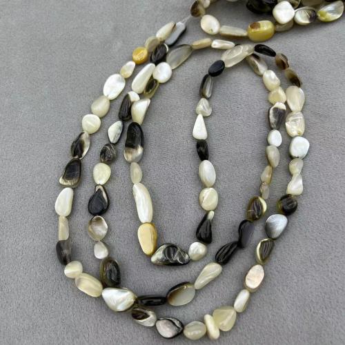 Black Shell Beads, Natural Seashell, DIY, about:6-7mm, Approx 76PCs/Strand, Sold Per Approx 78 cm Strand