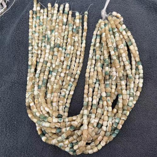 Perles naturelles de coquillages de mer , coquille, DIY, 5x6mm, Environ 68PC/brin, Vendu par brin