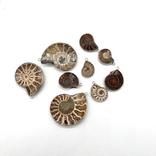 Shell Pendants, Trumpet Shell Fossil, with Brass, Helix, silver color plated, DIY & different size for choice, more colors for choice, Sold By PC