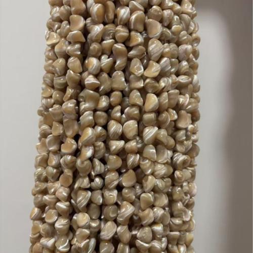 Natural Seashell Beads, Trochus, DIY & different size for choice, coffee color, Sold Per Approx 39 cm Strand