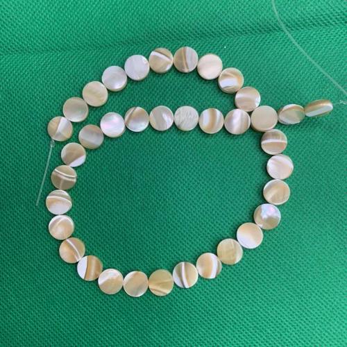 Natural Seashell Beads, Trochus, Flat Round, DIY, coffee color, 10mm, Sold Per Approx 38 cm Strand