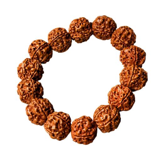 Rudraksha Bracelet, folk style & Unisex & different size for choice, Inner Diameter:Approx 50mm, Sold By PC