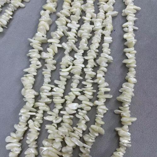 Natural Seashell Beads, Trochus, irregular, DIY, white, about:12-16mm, Approx 94PCs/Strand, Sold By Strand