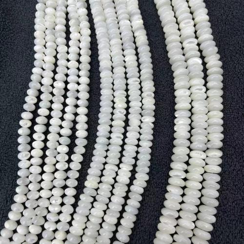 Natural Seashell Beads, Trochus, DIY & different size for choice, more colors for choice, Sold By Strand