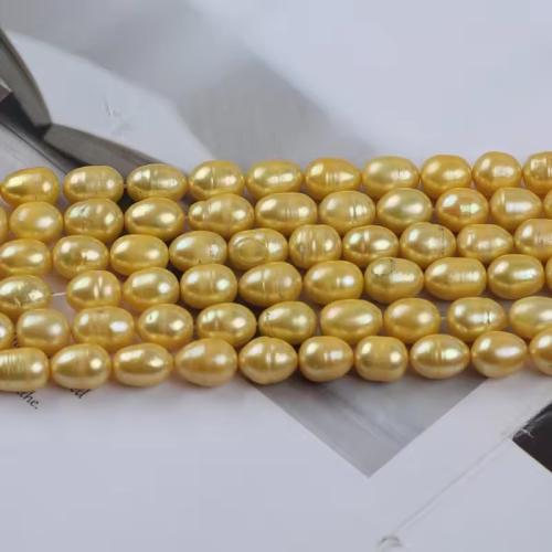 Cultured Baroque Freshwater Pearl Beads, Rice, DIY, golden, about:8-9mm, Sold Per Approx 38 cm Strand