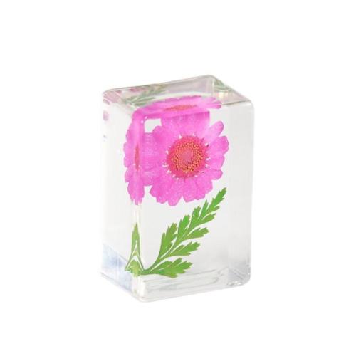 Fashion Decoration, Resin, with Dried Flower, Rectangle, transparent, more colors for choice, 43x28x21mm, Sold By PC