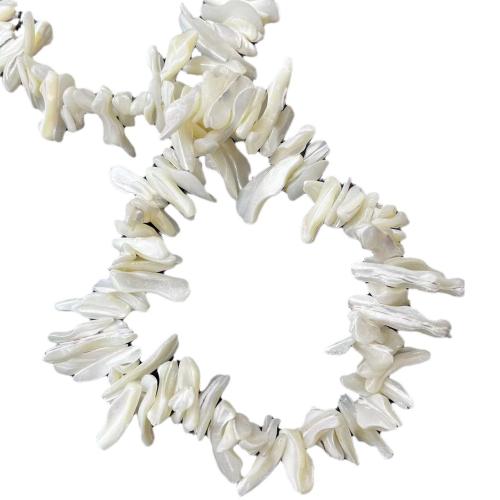 Natural Freshwater Shell Beads, DIY, more colors for choice, 18x22mm, Sold By PC