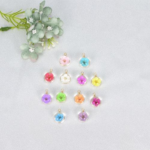 Glass Pendant, with Dried Flower & Brass, handmade, DIY & different size for choice, more colors for choice, Sold By PC