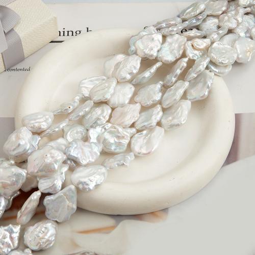 Freshwater Pearl Beads, Plum Blossom, DIY, white, 25x19mm, 16PCs/Strand, Sold By Strand