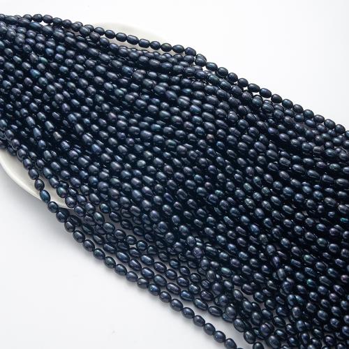 Keshi Cultured Freshwater Pearl Beads, Rice, DIY, black, 7x6mm, Sold By PC