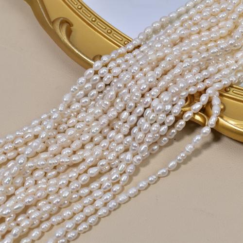 Freshwater Pearl Beads, irregular, plated, DIY, white, 4x5mm, Sold By Strand