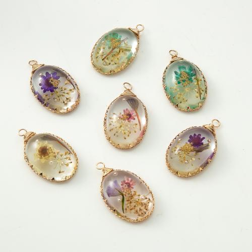 Resin Pendant, with Dried Flower & Brass, plated, DIY & imitation pearl, more colors for choice, 18.80x8.60x31mm, Sold By PC