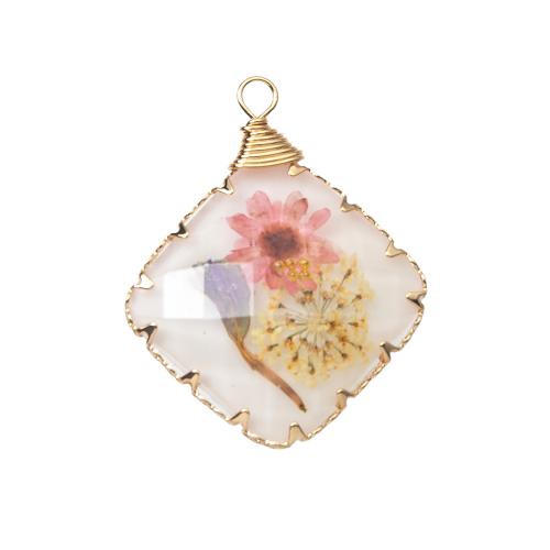 Resin Pendant, with Dried Flower & Brass, plated, DIY, mixed colors, 26x5.80x32.30mm, Sold By PC