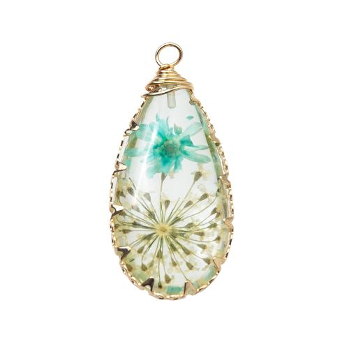 Harz Anhänger, mit Getrocknete Blumen & Messing, plattiert, DIY, keine, 15.60x3.60x34mm, verkauft von PC