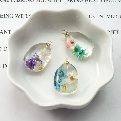 Resin Pendant, with Dried Flower & Brass, plated, DIY, mixed colors, 15.70x9.70x24.90mm, Sold By PC