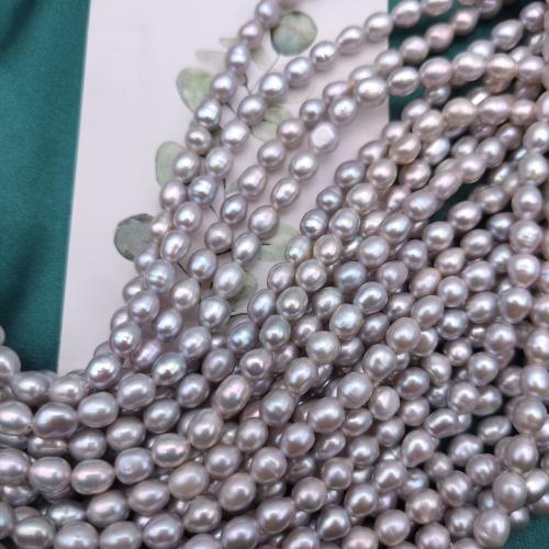 Cultured Potato Freshwater Pearl Beads, DIY, grey, 4x5mm, 73PCs/Strand, Sold By Strand