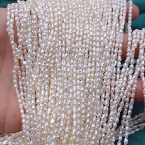 Cultured Rice Freshwater Pearl Beads, DIY, white, 2x2.50mm, 105PCs/Strand, Sold By Strand