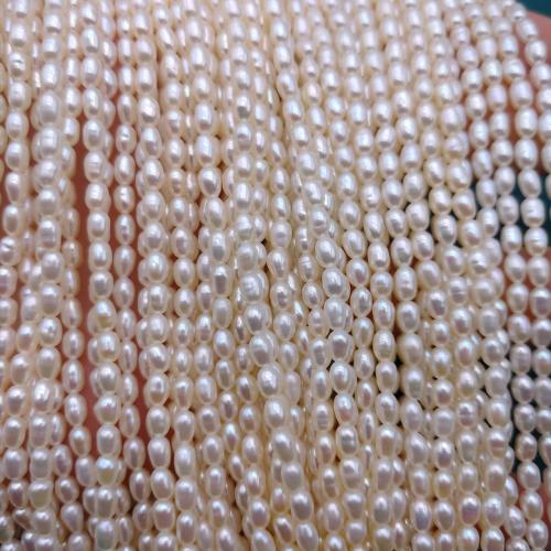 Reis Süßwasser Zuchtperlen, Natürliche kultivierte Süßwasserperlen, DIY, weiß, 2.80x3.20mm, 84PCs/Strang, verkauft von Strang