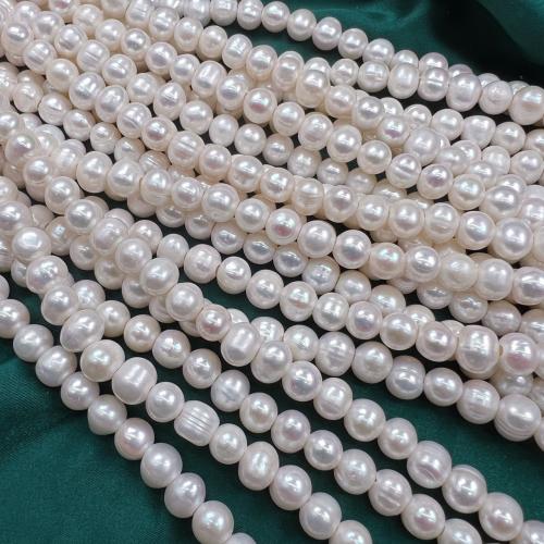 Kartoffel Süßwasser Zuchtperlen, Natürliche kultivierte Süßwasserperlen, DIY, weiß, 9mm, 47PCs/Strang, verkauft von Strang